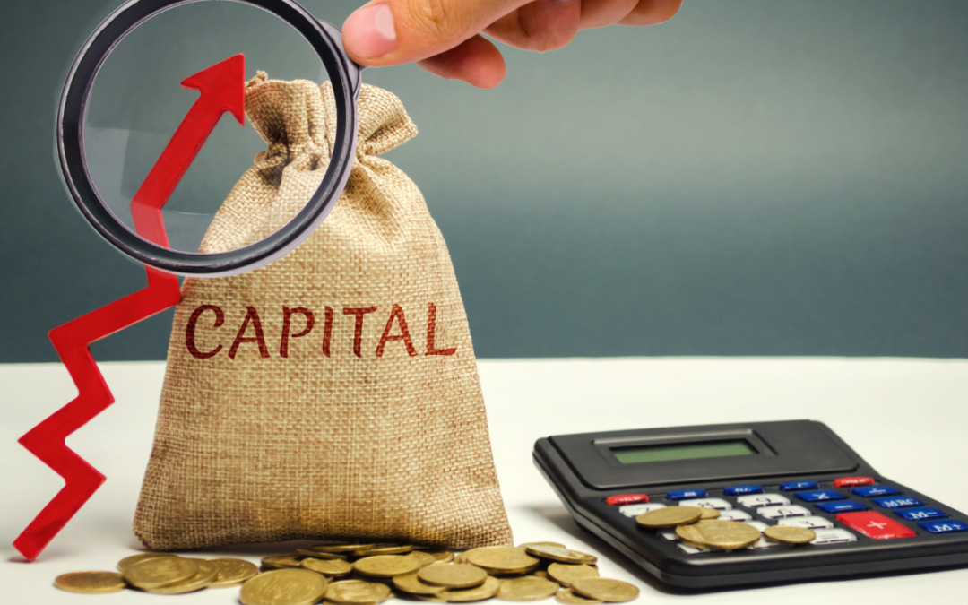 Tem dinheiro parado na sua empresa? Descubra como identificar créditos tributários recuperáveis